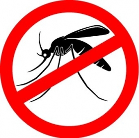 Caminhada contra o Aedes Aegypti
