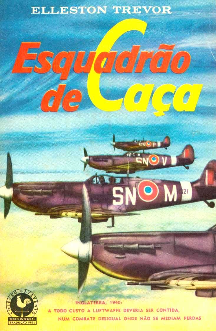 Esquadrão de caça