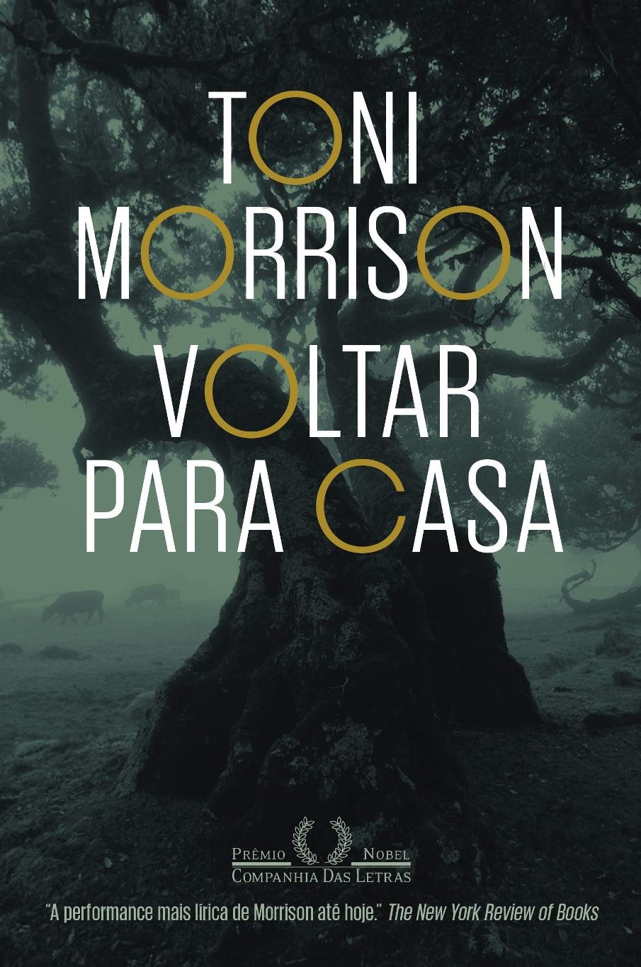 Voltar para casa
