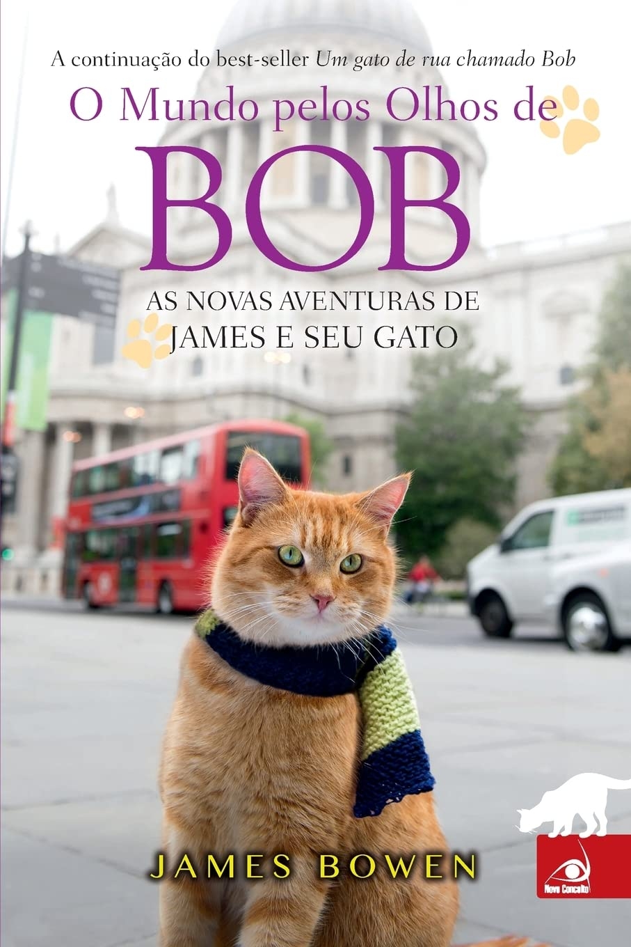 O mundo pelos olhos de Bob