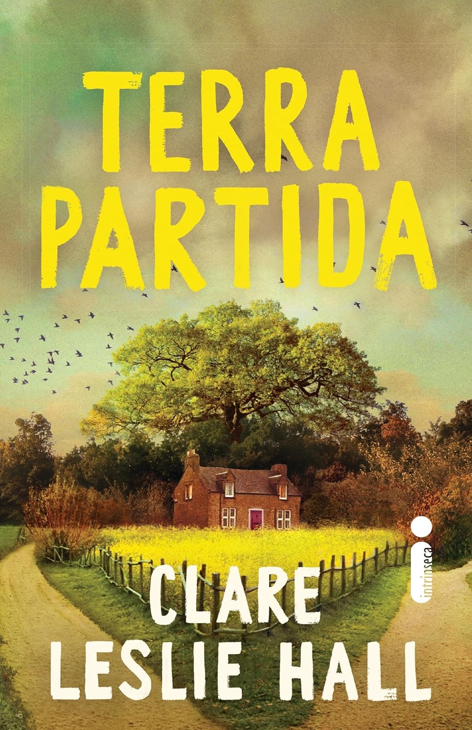 Terra partida