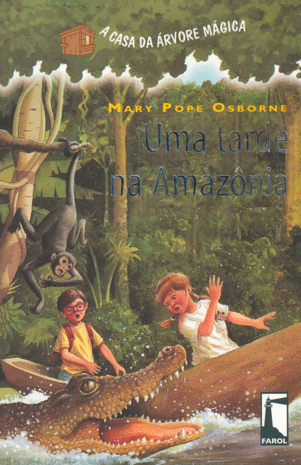 Uma tarde na Amazônia