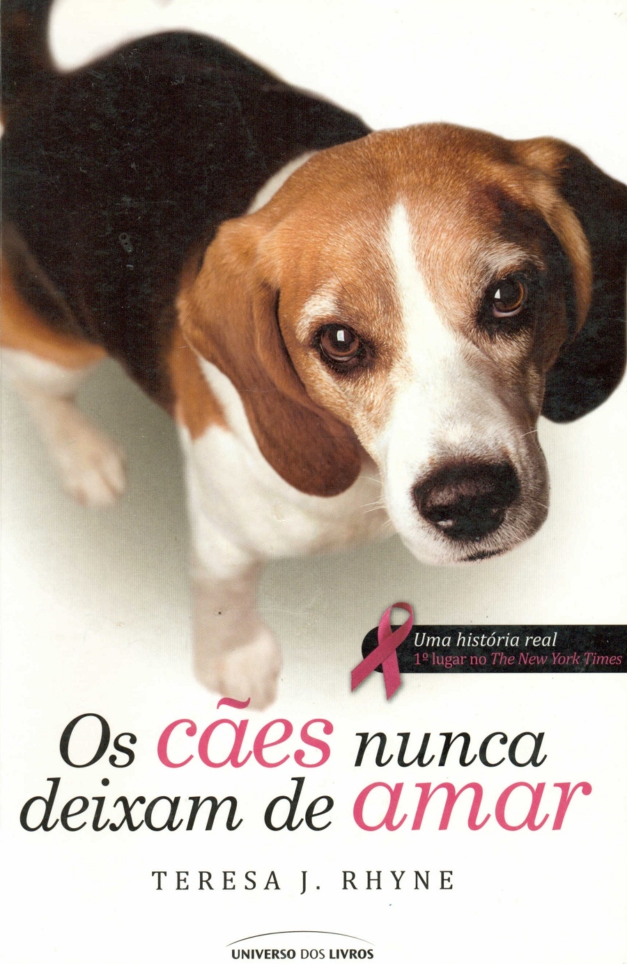 Os cães nunca deixam de amar