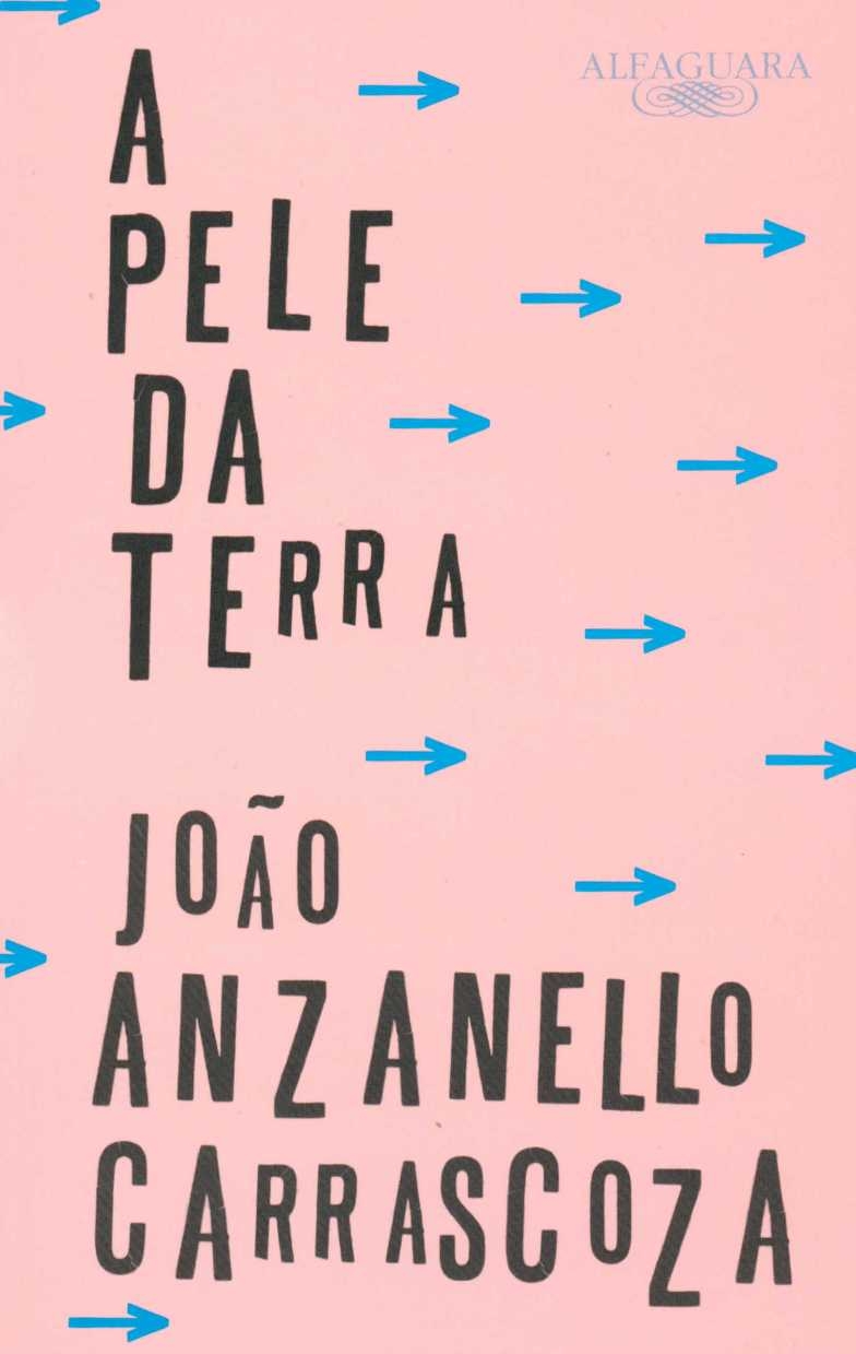 A pele da terra