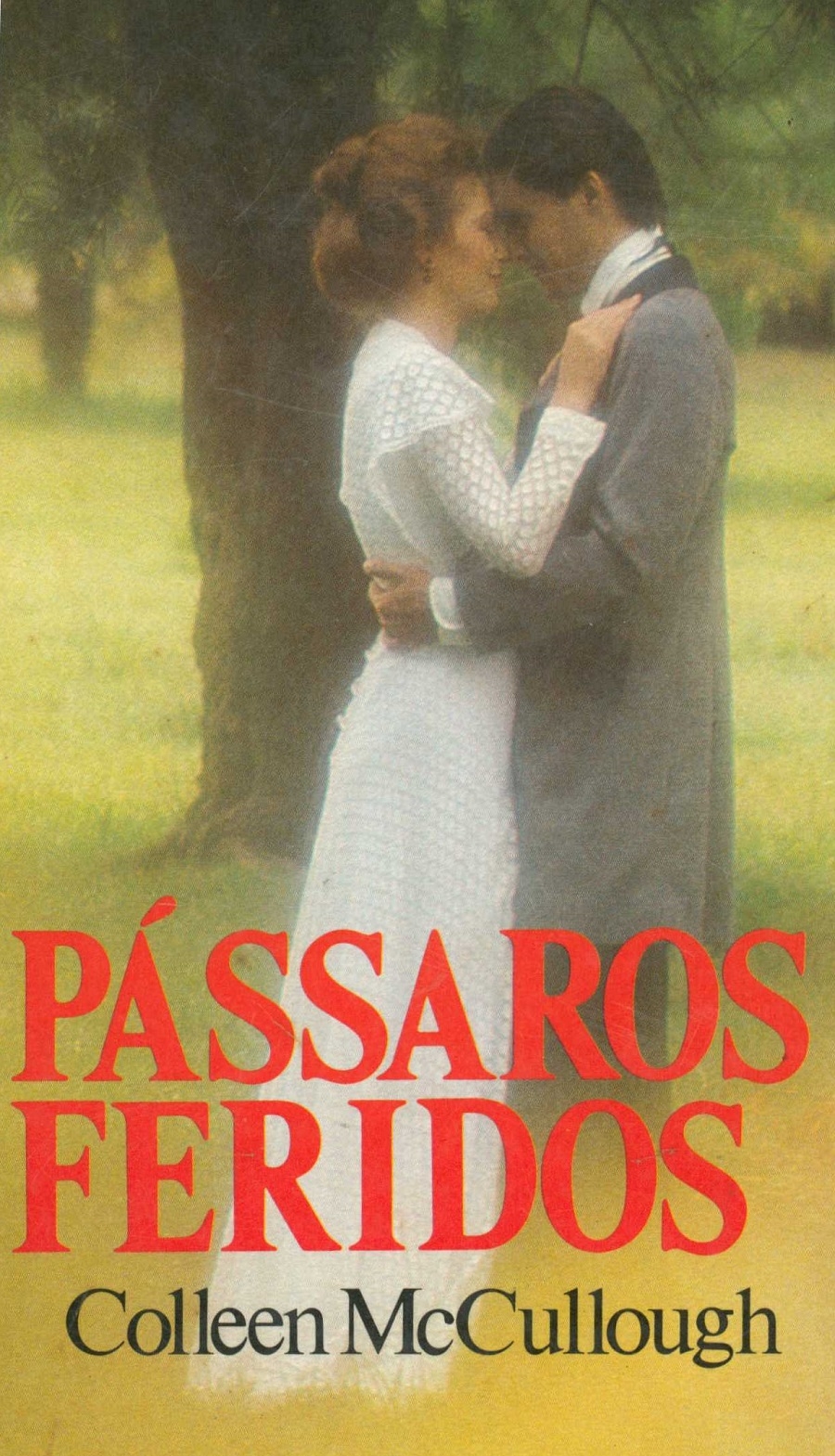 Pássaros feridos