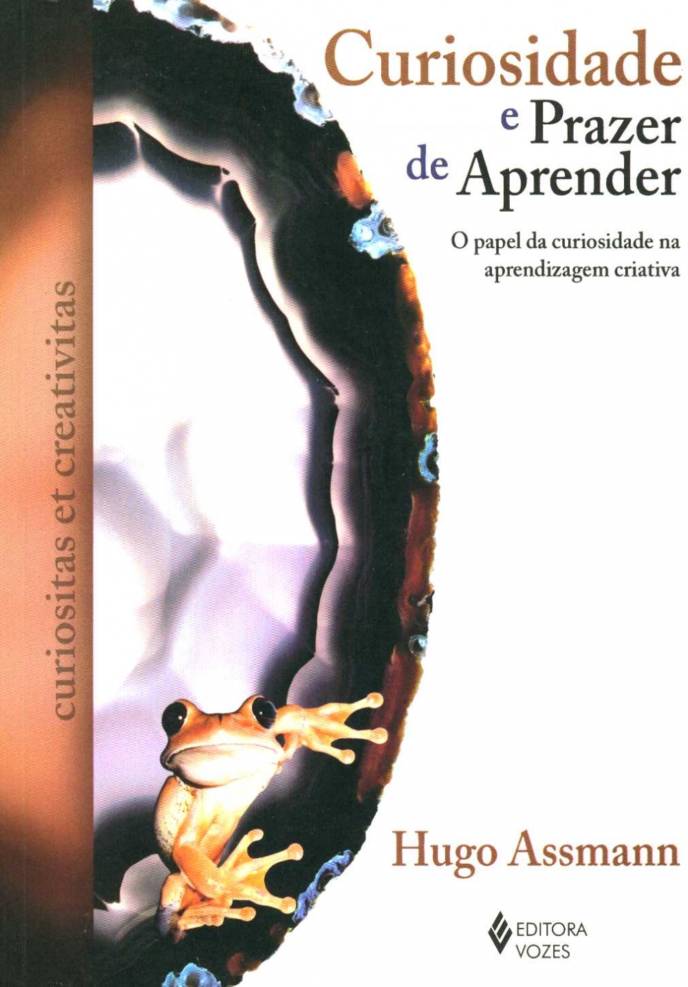 Curiosidade e prazer de aprender